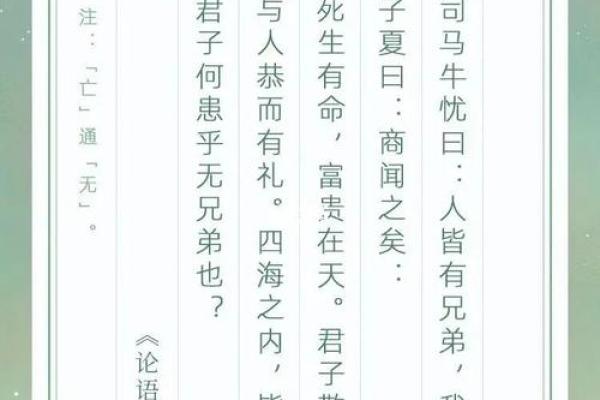 兄弟情深：探究“兄弟命”的深意与价值