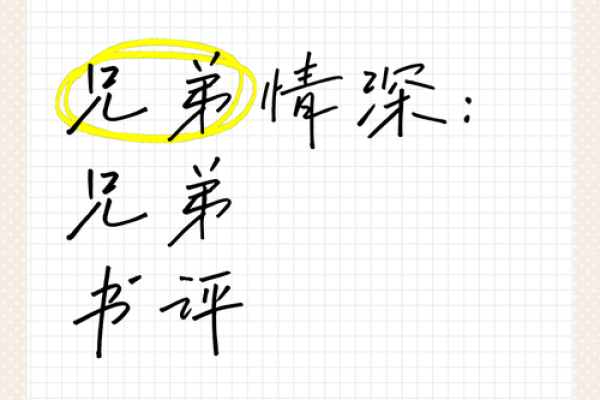 兄弟情深：探究“兄弟命”的深意与价值