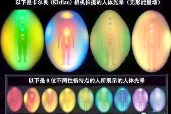 52年龙与46年命运交织：探寻人生的奥秘与智慧