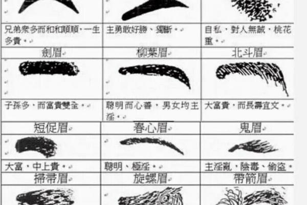 属猴39虚岁的人生解析：命运与性格的深度剖析