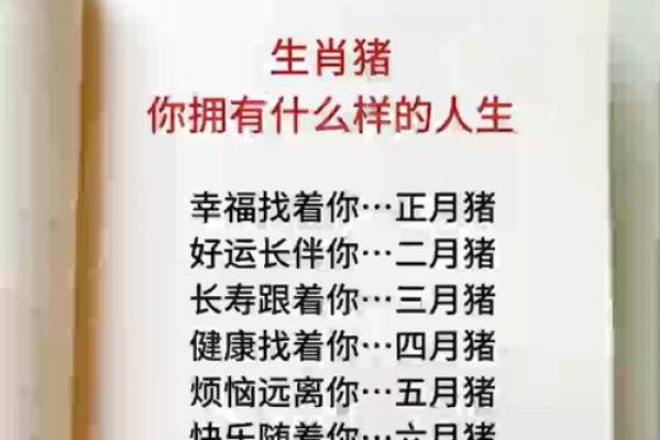 1970年出生的人属什么命？解读生肖命理与人生轨迹