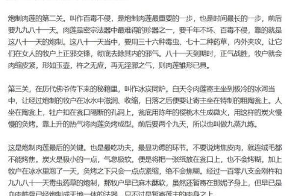 狗妖与猫妖的命数之谜：探寻背后的灵异故事与寓意
