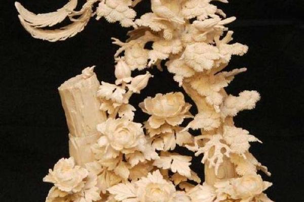 命与象牙：为何命运和象牙有着不解之缘？