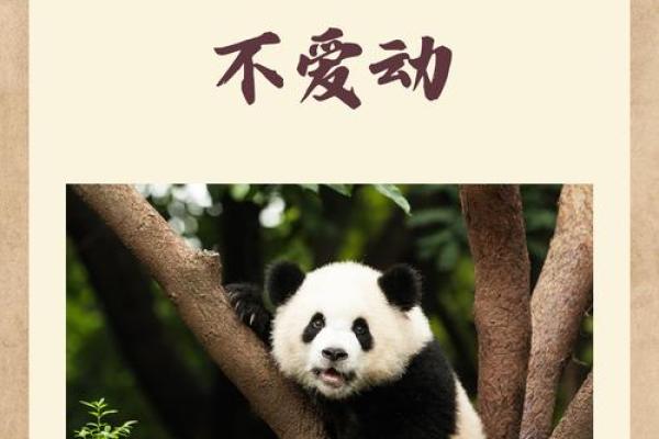 熊猫为什么没有猴子命：从进化看大自然的选择与差异