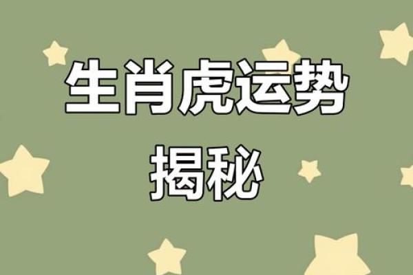 属虎的人命理解析：缺什么才能运势更旺盛？
