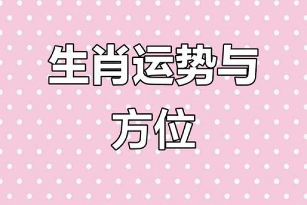 2017年是什么命？探寻生肖和命运的奥秘