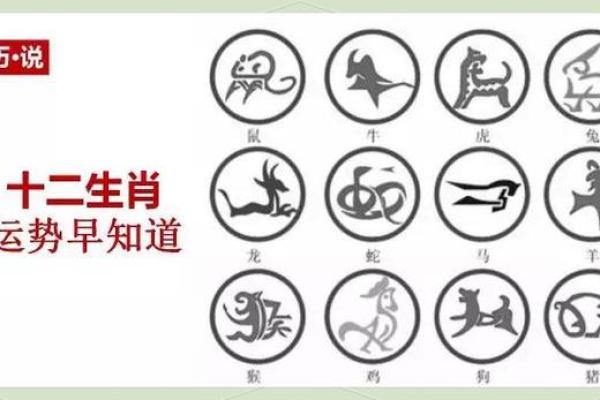 木命与属相的最佳搭配：你不可不知的和谐关系