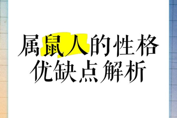 2012属鼠的命运与性格解析：探寻不同命格的生活之道