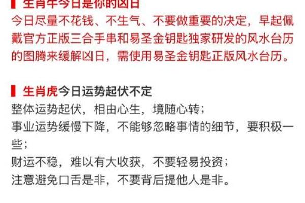 壬午日生人的命运解析与人生指南，探索月光下的命理智慧