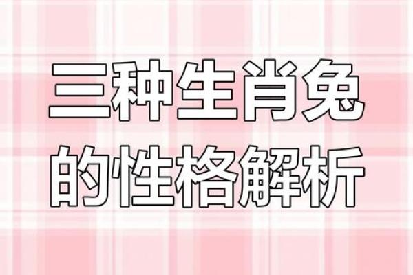 2011年：兔年的命运与运势解析，探索兔子与生活的深厚联系！