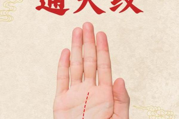探索手掌图的奥秘：揭示你的命运与未来的秘密