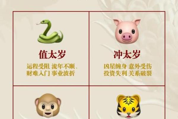 1984年属猪的人命格解析：解析性格与运势的秘密