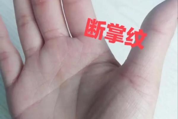女人有断掌纹，命运如何？解密女性手相的神秘力量