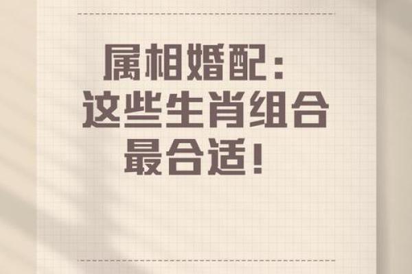 杨柳木命的生肖配对：与哪些生肖最为相合？