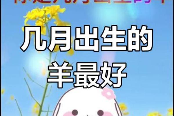 解析90属羊人命运：聪慧与柔韧交织的精彩人生