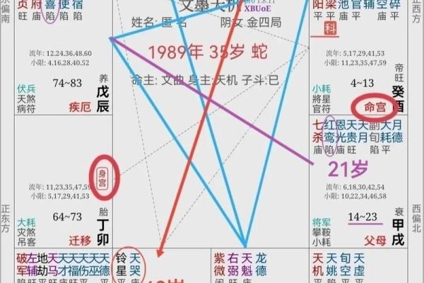 《雷神三命与六命：命理之中暗藏的玄机》