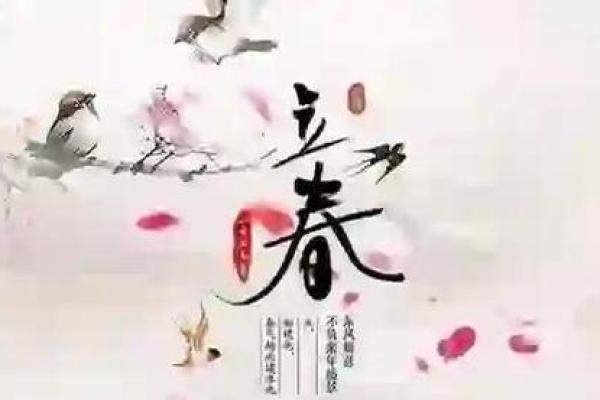 立春生孩：探究春季出生孩子的命理与运势