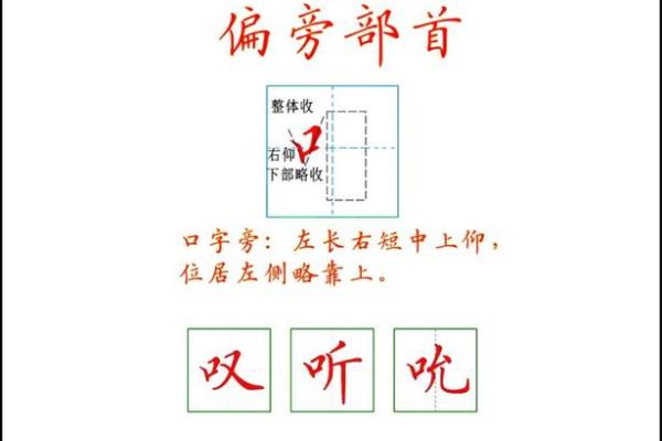 生命的命：探寻结构与偏旁的奥秘之旅