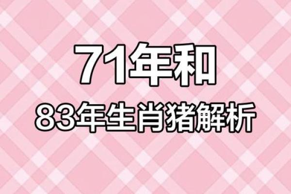 属猪腊月出生：命理解析与性格特征，一生幸福的秘密