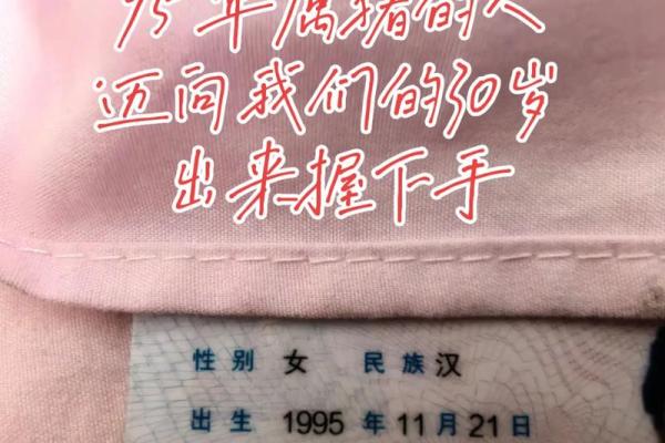 95年属猪人的命运解析：幸福与挑战并存的生活之道