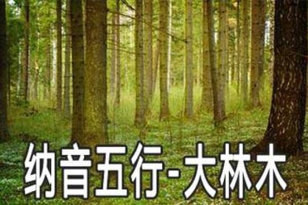 子时大林木命：如何弥补木命的不足，助你迎接人生挑战