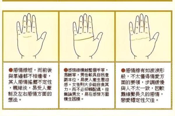 揭秘凤尾纹：掌中小秘密及其命理解析