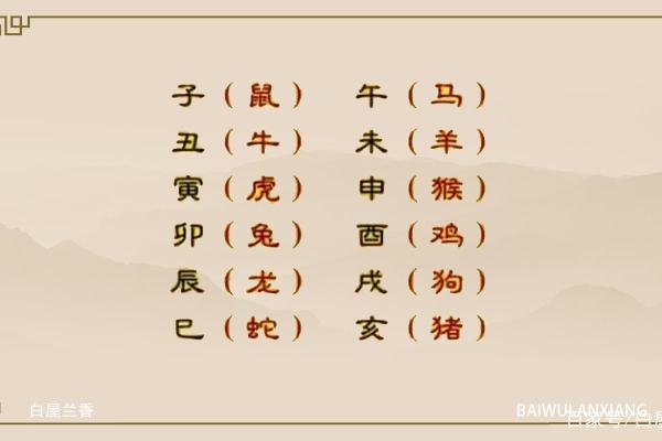 探索网络命理：数字背后的奥秘与智慧