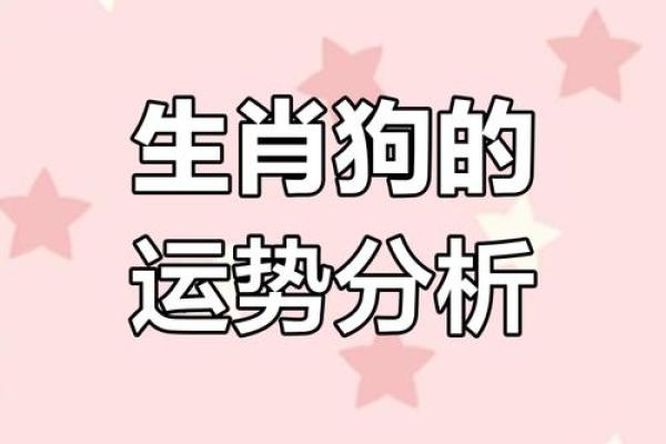 2018年属狗人命运解析：揭示你的性格特征与未来运势
