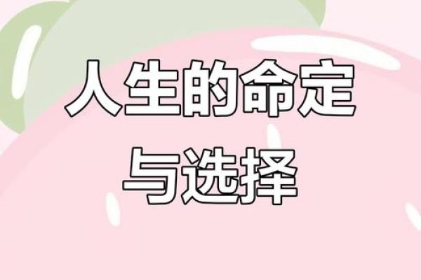 2000年10月27日出生的命运解析：独特个性与人生机遇
