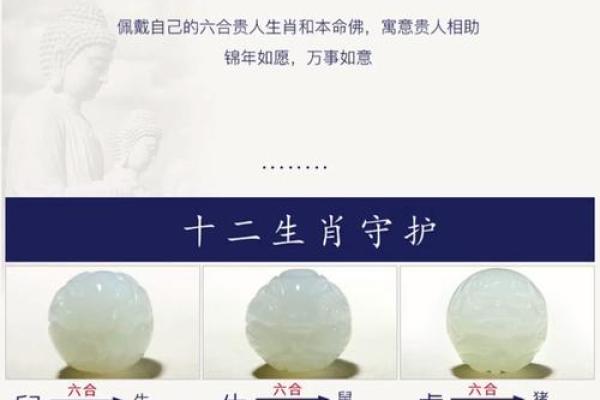 属蛇的命理与适合佩戴的饰品解析，助您提升运势与魅力