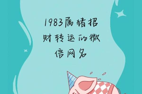 2020年属猪人的命运解析：幸运与挑战并存的一年