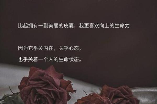 只不过一命抵一命，探索生命的价值与意义