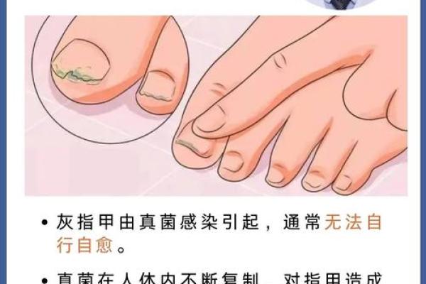 揭秘指甲形状背后的命运：享福命的指甲特征解析