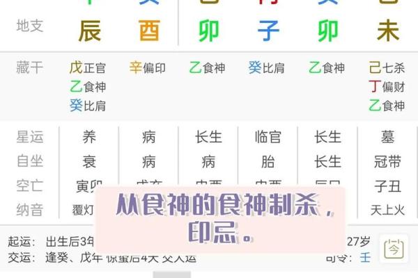 偏财男命与食神制杀女命的深层解析与生活指导