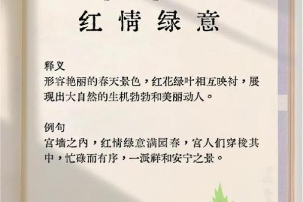 以“情”字展开的成语接龙：情深义重的生活哲学