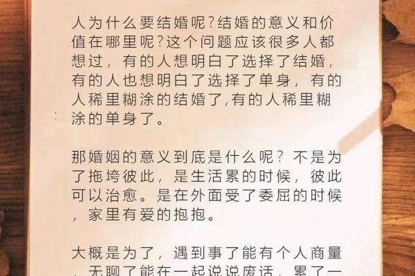 《命小》：深入解读这首歌背后的情感与意义