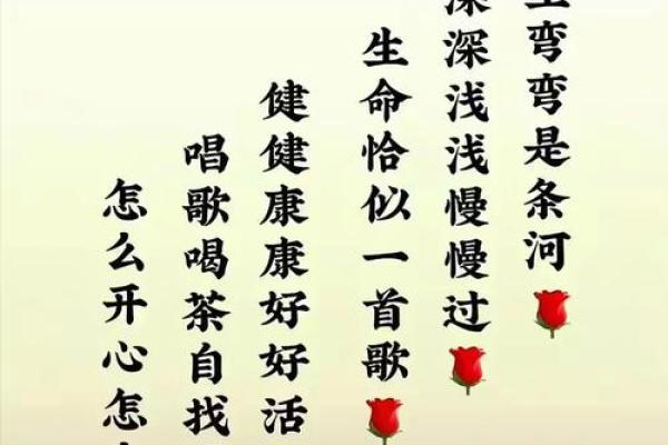 命若琴弦：人生的韵律与和谐之道
