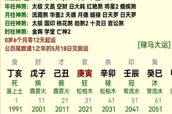 阴历11月28日出生的人命运特征与性格分析
