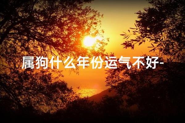 属狗人士29岁人生运势解析：命理与机遇的交织