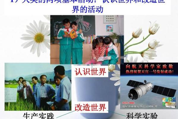 探索大林木命的音乐魅力与人生哲学