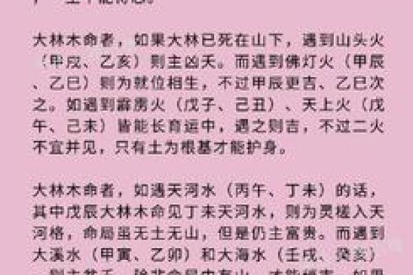 老鼠金命者的幸运车牌：选择与富贵同行的智慧之路