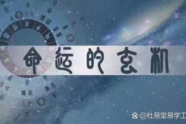 1976年龙的命理解析：揭开龙的神秘面纱，探索人生潜能与运势