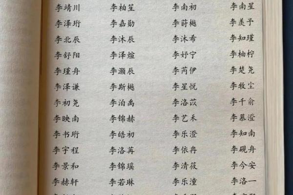 姓李的男孩命理分析：命运、性格与发展机会探讨