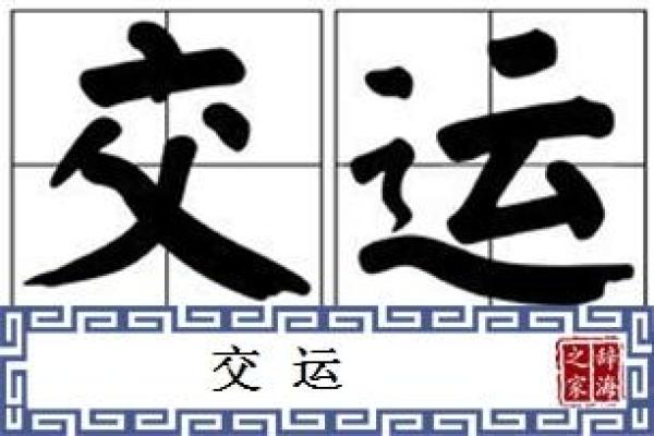 帅命的近义词与生活中的成功之道探讨