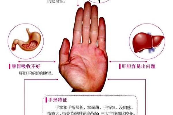 手指粗大的人命运解析：揭开命理之谜的奥秘！