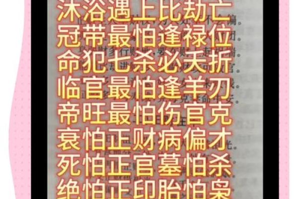 乾坤二命的深意：探索阴阳与命运的奇妙联系