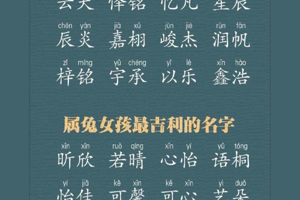 2023年宝宝属什么命？探索新生儿的命运与未来