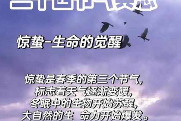 惊蛰前后出生的命理解析:如何影响人生轨迹 惊蛰前后出生的命理解析:如何影响人生轨迹