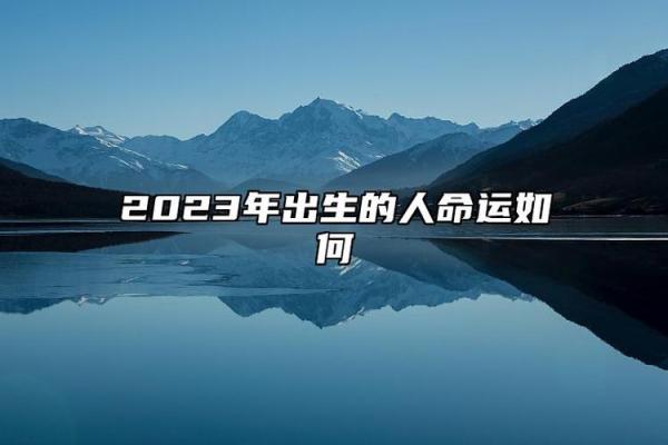 2023年：兔年带来的机遇与挑战，命运的转变与启示