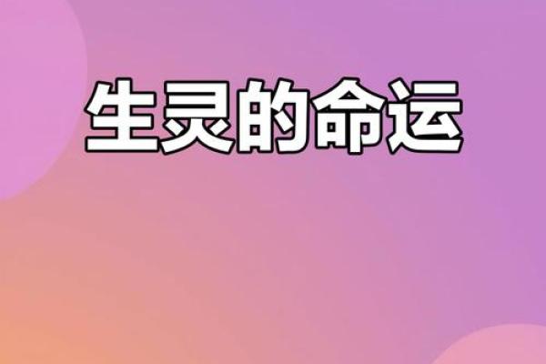 探寻福禄命理之奥秘:生活中的幸福与命运之道 探寻福禄命理之奥秘:生活中的幸福与命运之道